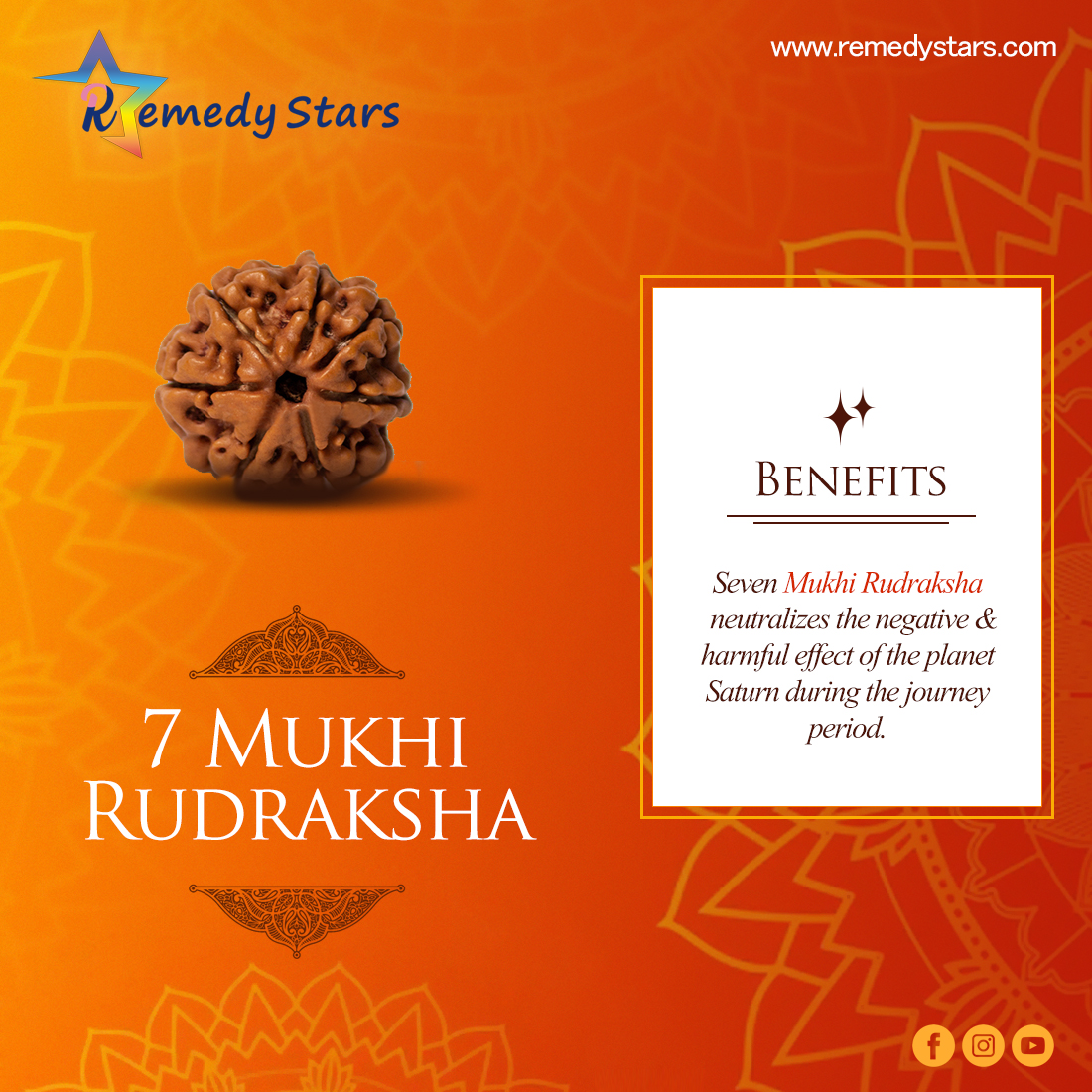 7 Mukhi Rudraksh