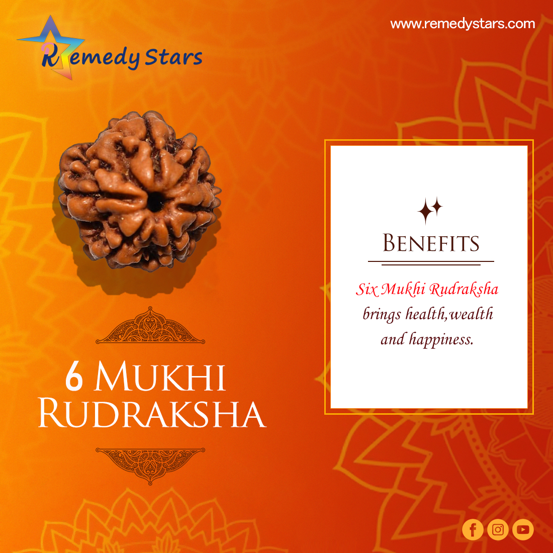 6 Mukhi Rudraksh (Nepal)