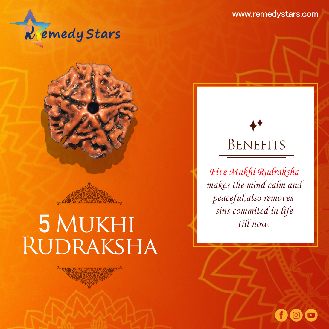 5 Mukhi Rudraksh (Nepal)