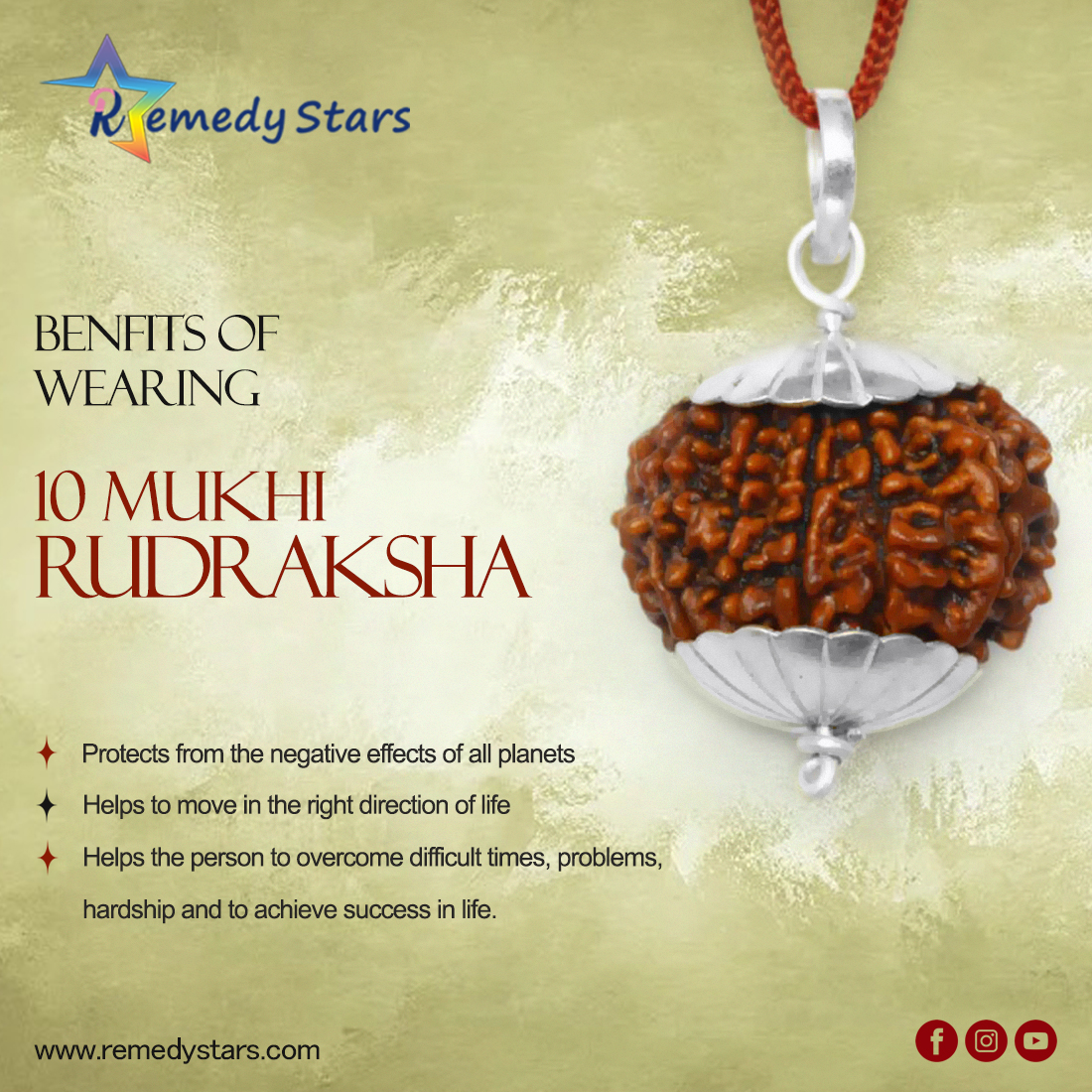 10 Mukhi Rudraksh (Nepal)